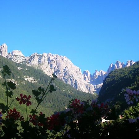 Garni Lago Alpino Molveno Exterior photo