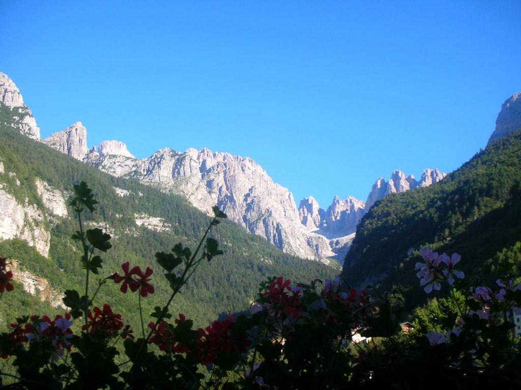 Garni Lago Alpino Molveno Room photo